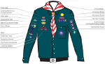 Where to position scouts badges